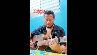 Cover Ricardo Arjona Mojado [upl. by Regine503]