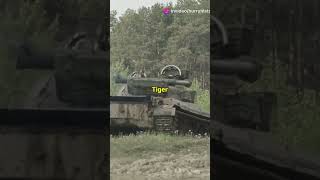 The Mighty Tiger Tank Behemoth Unleashed [upl. by Esta114]