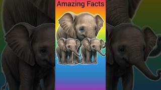 Can Elephants Remember The Excellent Memories shorts short viralvideo fact facts amazing [upl. by Fabyola28]