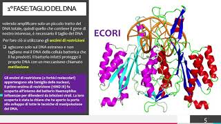 LA TECNICA DEL DNA RICOMBINANTE [upl. by Old763]