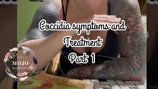 Coccidia Symptoms and Treatment for Chicks [upl. by Petunia]