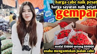 harga cabe malam ini ngamuksayuran gmparpasar induk cibitung9 des 2024 [upl. by Elyac922]