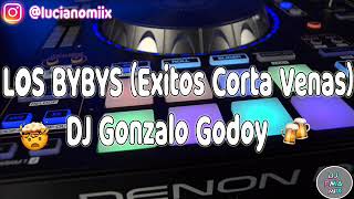 LOS BYBYS Exitos Corta Venas  DJ Gonzalo Godoy [upl. by Notgnilra]