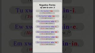 Learn Kurmanji Kurdish Grammar  Negative Forms [upl. by Krell]