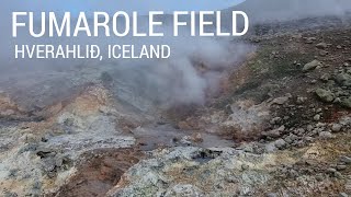 FUMAROLE FIELD AT HVERAHLIÐ Iceland 🔥 [upl. by Harim]