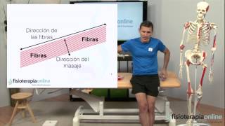 ¿Cómo tratar la tendinitis del hombro  Fisioterapia Bilbao [upl. by Broder494]