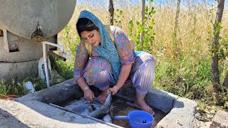 Cooking Beef and Lamb in Iranian village style  My Village Life  Rural family [upl. by Hastie734]