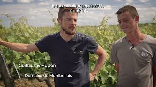 Domaine de Montbrillais Saumur Blanc Guillaume et Damien HuponSousTitré Français [upl. by Gershon879]