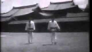 Historic TaekwonDo Instructional Film Full video [upl. by Eisaj]