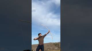 Maple Longbow From Tree to Bow shorts [upl. by Kirstyn]