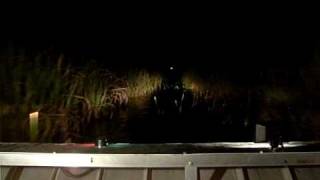 Gator Nights Night Airboat Rides in the Everglades at Sawgrass Rec Park [upl. by Lilak]