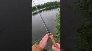 fisherman sportfish fishing sport fish angler trout flyfishing alaska troutfishing lake [upl. by Aral821]