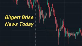 Bitgert Brise Price Prediction News and Its Analysis 9 September  Bitgert Crypto [upl. by Aisyle911]