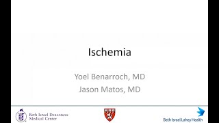 Session 3 Ischemia [upl. by Eilsil]