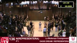 ARQANA  Vente dAoût 2015  REPLAY Day 2 [upl. by Lehcem465]