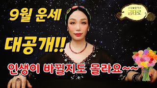 타로타로운세  9월운세 대공개‼️ 인생이 바뀔 지도 몰라요 [upl. by Aira302]