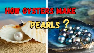 How Oysters Make Pearls  Revealing the secret behind oyester thewwinsight [upl. by Ainna]