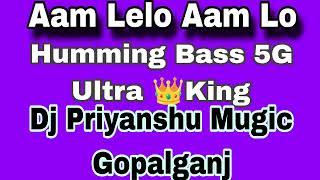 Aam Lelo Aam Lelo Humming Bass Bhojpuri Song Hard Vabration Dj Priyanshu Mugic Gopalganj 2024 [upl. by Akcimahs364]