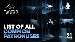 All Patronuses on Magical Mystery Pottermore  Common List  Hogwarts Legacy [upl. by Borer]