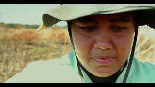 Into The Okavango  Hippo Attack [upl. by Nemlaz]