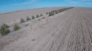 Land for Sale 160 Acre Organic Farm 6 miles So of Sidney Nebraska [upl. by Magdala]