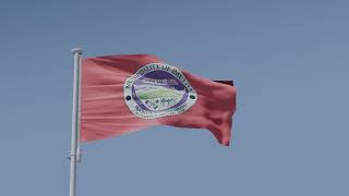 Imelda Zamboanga Sibugay Waving Flag [upl. by Zirkle]