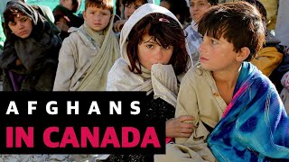 Afghan Immigration to Canada afghanistan canadaimmigration canadaimmigrants [upl. by Arv]