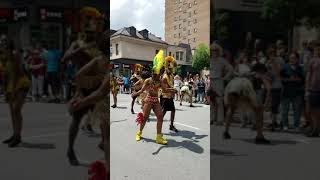 Carifiesta Montreal shorts [upl. by Enymzaj]