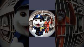 Kitten Release Prisoner meme [upl. by Cesya]