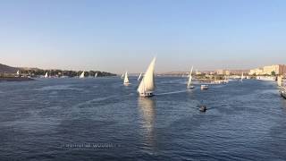 Feluccas on the Nile [upl. by Peggy]