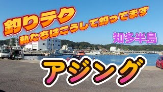 釣りテク【アジング】知多半島 [upl. by Aihsem]