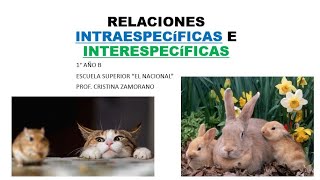 Temas Relaciones intraespecíficas e interespecíficas [upl. by Moreno947]