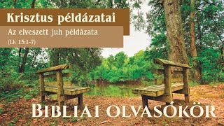 OLVASÓKÖR Krisztus Példázatai  Az elveszett juh példázata Reisinger János [upl. by Kylstra276]