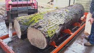 Milling an Incredible 12ft Claro Walnut Log into Slabs [upl. by Niamert]