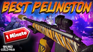 BEST Pelington Zombies Class Black Ops Cold War [upl. by Haines89]