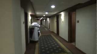 Dover Traction Scenic elevators  Galt House Hotel Suite Tower Louisville KY [upl. by Nawrocki653]