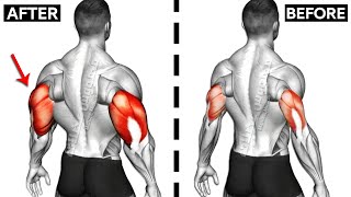 How To Build Your WIDER Triceps workout AT GYM Effective Exercises [upl. by Edan]