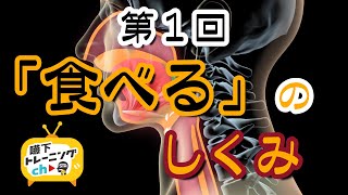 第1回「食べる」のしくみ 嚥下トレーニングチャンネル Swallowing structure SWALLOW TRAINING ASSOCIATION [upl. by Lewin338]