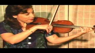 Violin Lesson  Theory  The D Flat Major Scale [upl. by Nojid]