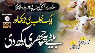 Emotional Qurbani Kalaam Sunnat E Ibrahim AS IKRAM HAI QURBANI Zubair Qasmi Islamic Releases [upl. by Mill]