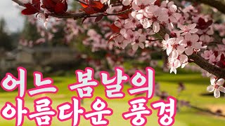 어느 골프장의 봄날 봄꽃이 만발한 골프장풍경 음악 ForeverStratovariusKBS 드라마 첫사랑 OST PianoLinh Nhi 20240406 [upl. by Htessil]