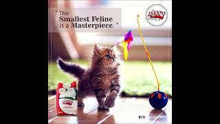 Happy Cat Litter Fresh Clean and Purrfectly OdorFree [upl. by Notsirhc73]