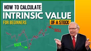 How To Calculate INTRINSIC VALUE Of A Stock In Hindi For Beginners  Investing  Warren Buffett [upl. by Mariam]