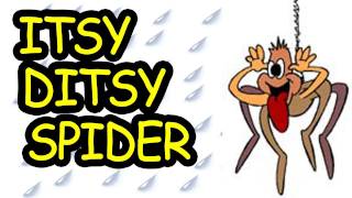 Itsy Bitsy Spider  Itsy Ditsy Spider  Childrens Song by The Learning Station [upl. by Ahsilak]