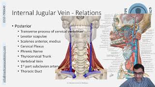 Veins of Head amp Neck [upl. by Seyer]