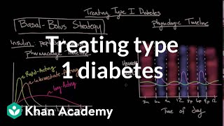 Treating type I diabetes  Endocrine system diseases  NCLEXRN  Khan Academy [upl. by Aillil]