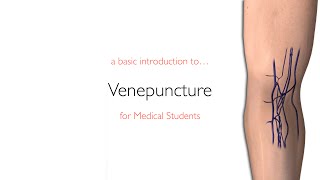 A basic introduction to venepuncture in 5 min  flipping the classroom [upl. by Marv]