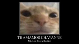 Los Rivera Destino  Chayanne Forever Visualizer  Memes del Futuro [upl. by Aikram]