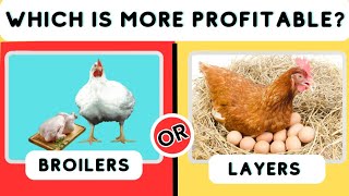 Layers or Broilers  Which is more Profitable [upl. by Grizelda169]