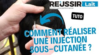 TUTO Comment réaliser une injection souscutanée [upl. by Ellimak]